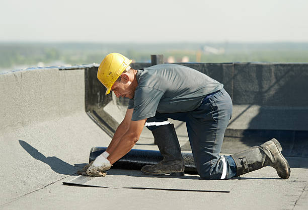 Best Insulation Replacement Services  in Rocky River, OH